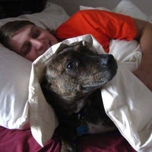 Meet your Posher, Max